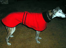 my greyhound housecoat.