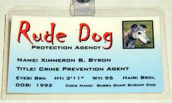 rude dog protection agency